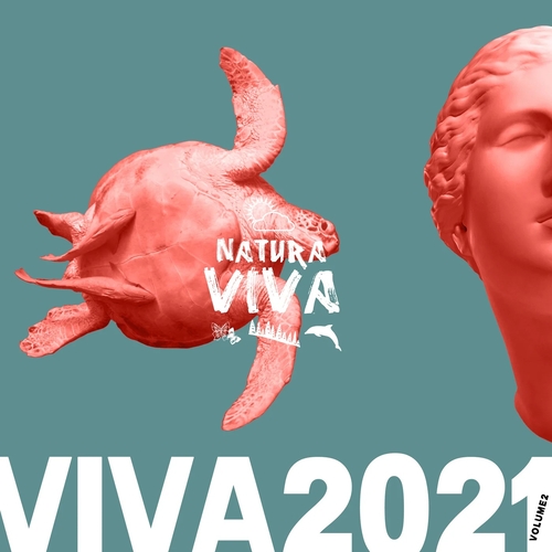 VA - Viva 2021.2 [NATVIVA20212]